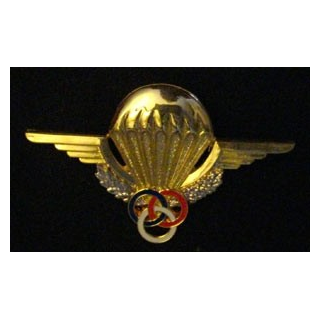 BREVET PARA : BREVET MONITEUR PARACHUTISTE