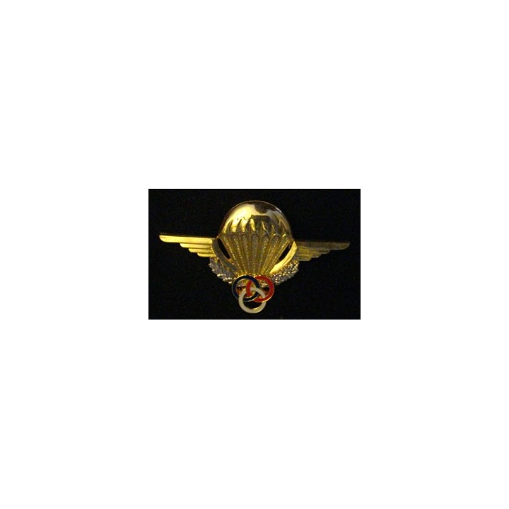 BREVET PARA : BREVET MONITEUR PARACHUTISTE
