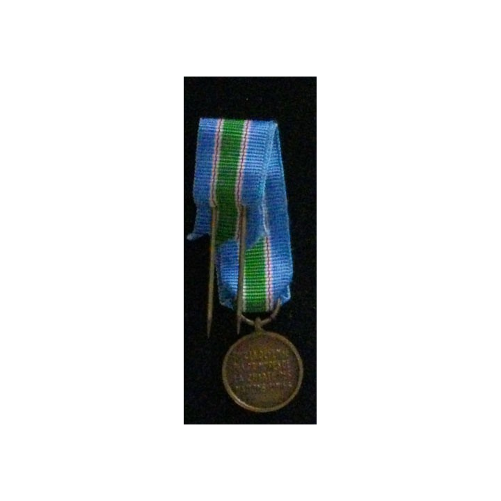 ONU : MÉDAILLE COMMÉMORATIVE DE LA FINUL LIBAN (RÉDUCTION)