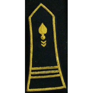 ÉPAULETTE DE SPENCER CANNETILLE : CAPITAINE CTA CORPS TECH ADM