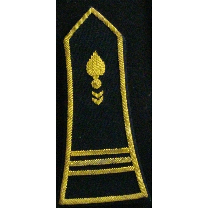 ÉPAULETTE DE SPENCER CANNETILLE : CAPITAINE CTA CORPS TECH ADM