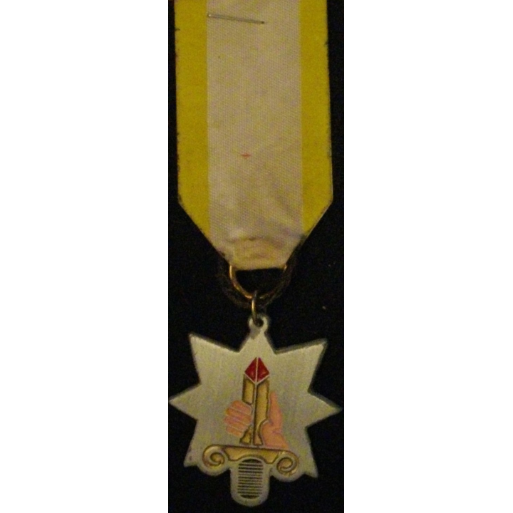 FRANCE : MÉDAILLE NON OFFICIELLE DE LA HANDFULL WIDOW
