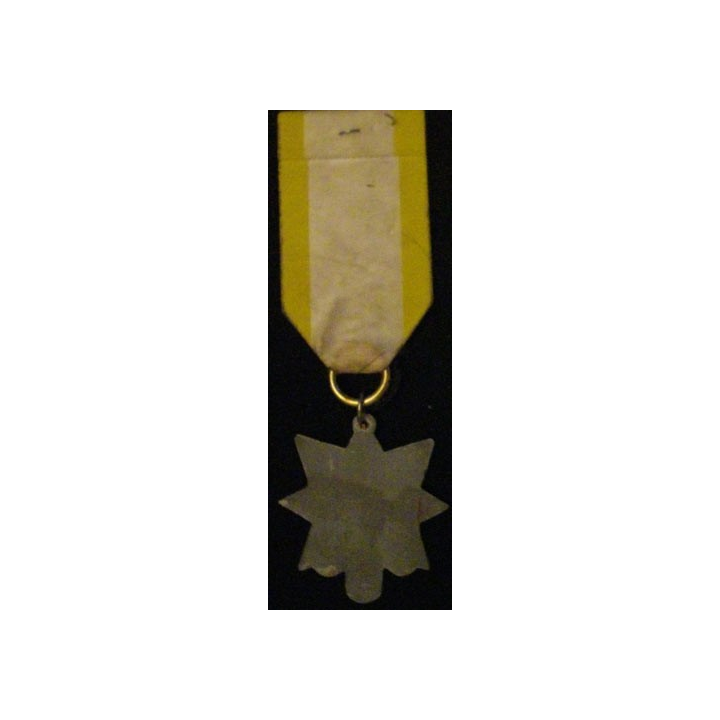 FRANCE : MÉDAILLE NON OFFICIELLE DE LA HANDFULL WIDOW