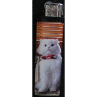 BRIQUET : CHAT (USAGÉ)