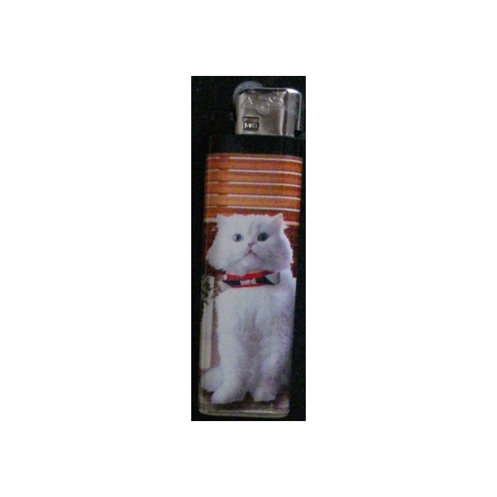 BRIQUET : CHAT (USAGÉ)