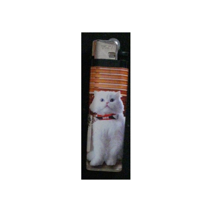 BRIQUET : CHAT (USAGÉ)