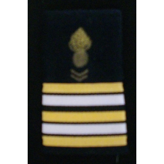 FOURREAU DE LIEUTENANT-COLONEL DU CORPS TECH ADMINISTRATIF
