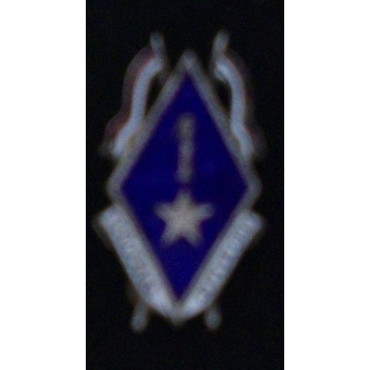 1° régiment de dragons losange modèle 1939 Arthus Bertrand Paris