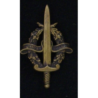 BREVET DE PRÉPARATION MILITAIRE ÉLÉMENTAIRE BRONZE