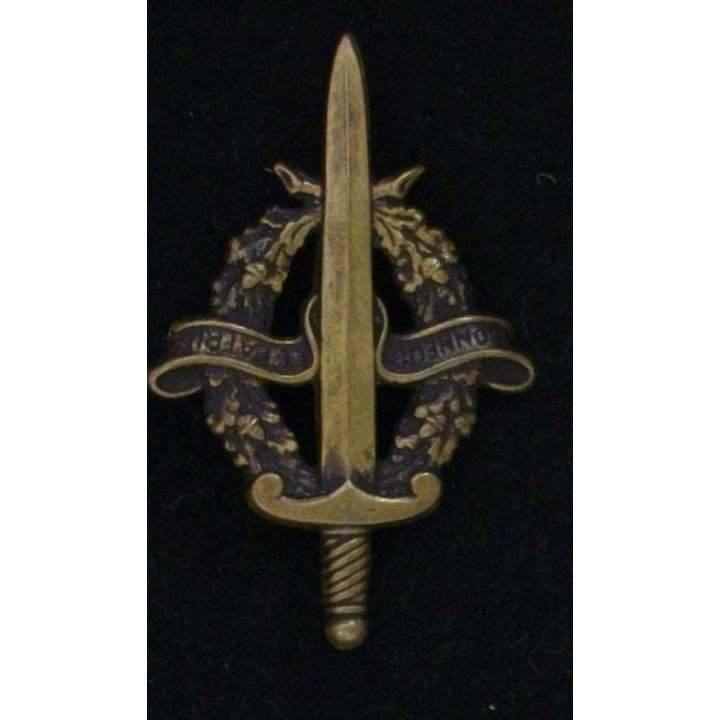 BREVET DE PRÉPARATION MILITAIRE ÉLÉMENTAIRE BRONZE