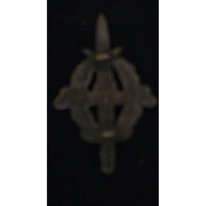 BREVET DE PRÉPARATION MILITAIRE ÉLÉMENTAIRE BRONZE