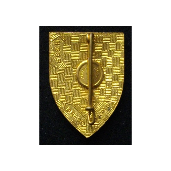 10° groupe d'artillerie coloniale de marine Drago  H. 385 en émail