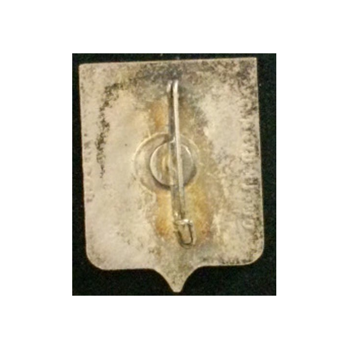 110°RI : 110°RÉGIMENT D'INFANTERIE (ANDOR)