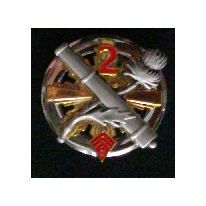 8° RA : 8° RÉGIMENT D'ARTILLERIE 2°BATTERIE (2009)