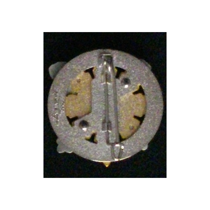 8° RA : 8° RÉGIMENT D'ARTILLERIE 2°BATTERIE (2009)