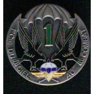 1° RÉGIMENT DE CHASSEURS PARACHUTISTES 1°CIE (2010) RCP