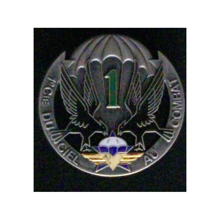 1° RÉGIMENT DE CHASSEURS PARACHUTISTES 1°CIE (2010) RCP