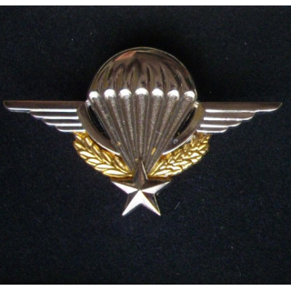 BREVET PARA : BREVET PARACHUTISTE (BOUSSEMART 2001)