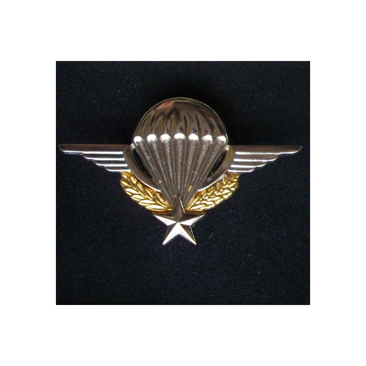 BREVET PARA : BREVET PARACHUTISTE (BOUSSEMART 2001)