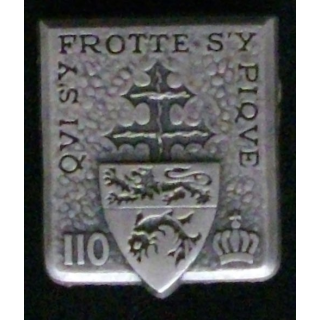 110°RI : 110°RÉGIMENT D'INFANTERIE  (TIRAGE BOUSSEMART 2010 MAT)