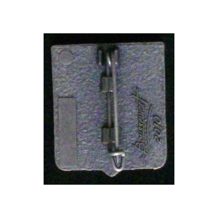 110°RI : 110°RÉGIMENT D'INFANTERIE  (TIRAGE BOUSSEMART 2010 MAT)