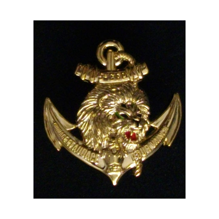 4° RSMA : 4° RÉGIMENT DU SERVICE MILITAIRE ADAPTÉ 5° CFP