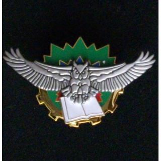 insigne ensemble équipes techniques instruction spécialisée 62-530 