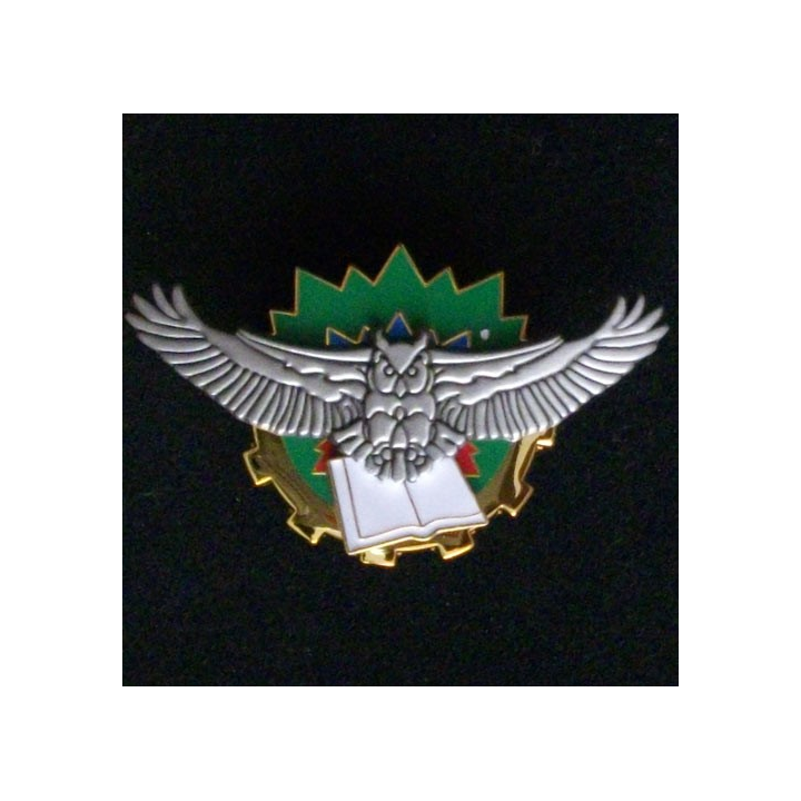 insigne ensemble équipes techniques instruction spécialisée 62-530 