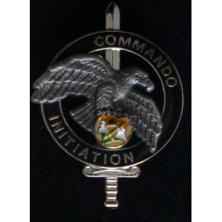 COMMANDO CÔTE D'IVOIRE : insigne du brevet d'entraînement commando d'initiation de fabrication Promodis Boussemart 2013