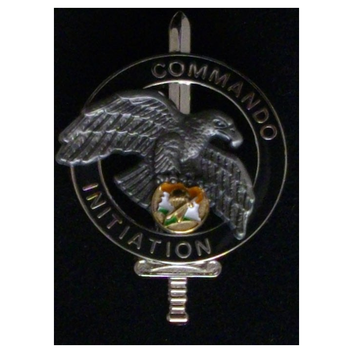 COMMANDO CÔTE D'IVOIRE : insigne du brevet d'entraînement commando d'initiation de fabrication Promodis Boussemart 2013