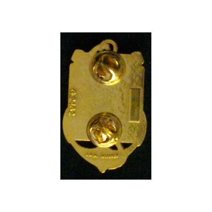 Régiment de service militaire adapté à la Réunion JMM Insignes G. 2482