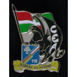 110°RI : 110°RÉGIMENT D'INFANTERIE CEA (BOUSSEMART 2010)