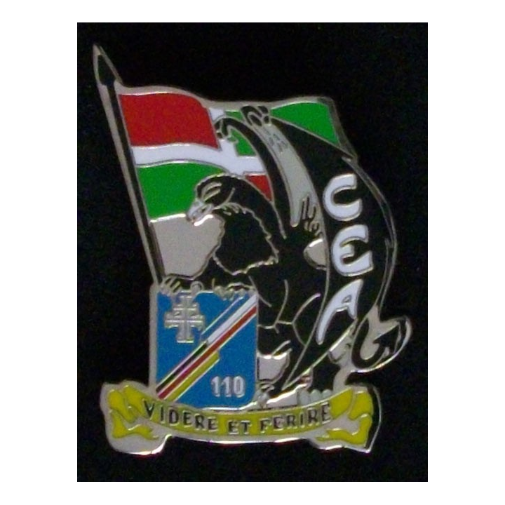 110°RI : 110°RÉGIMENT D'INFANTERIE CEA (BOUSSEMART 2010)
