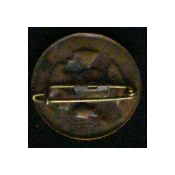 203°RP : 203°RÉGIMENT DE PROTECTION TOUT BRONZE (FRAISSE DEMEY)