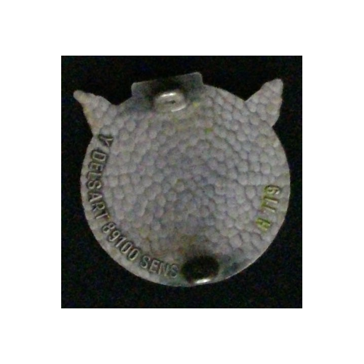 146° RI : 146° RÉGIMENT D'INFANTERIE OBLIGE (DELSART)