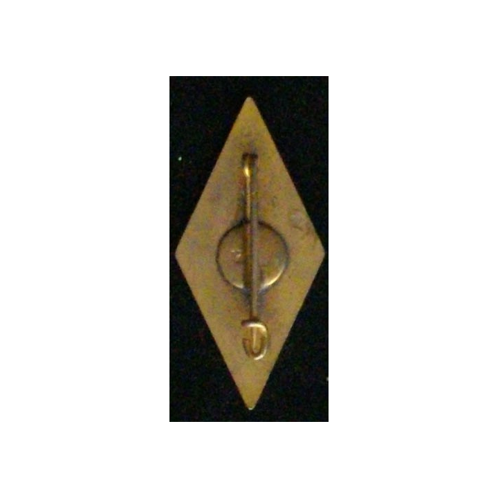 131° RI : 131° RÉGIMENT D'INFANTERIE (POINÇON ARTHUS) ÉMAIL
