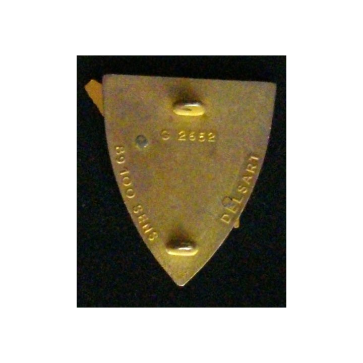 299° RI : 299° RÉGIMENT D'INFANTERIE (DELSART)