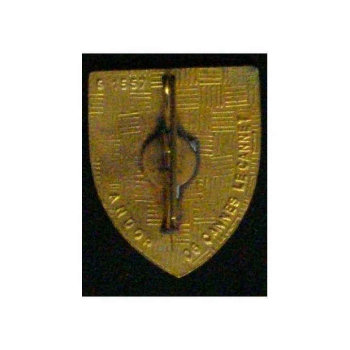 126° RI : 126° RÉGIMENT D'INFANTERIE (BISON BLEU) (ANDOR) ÉMAIL