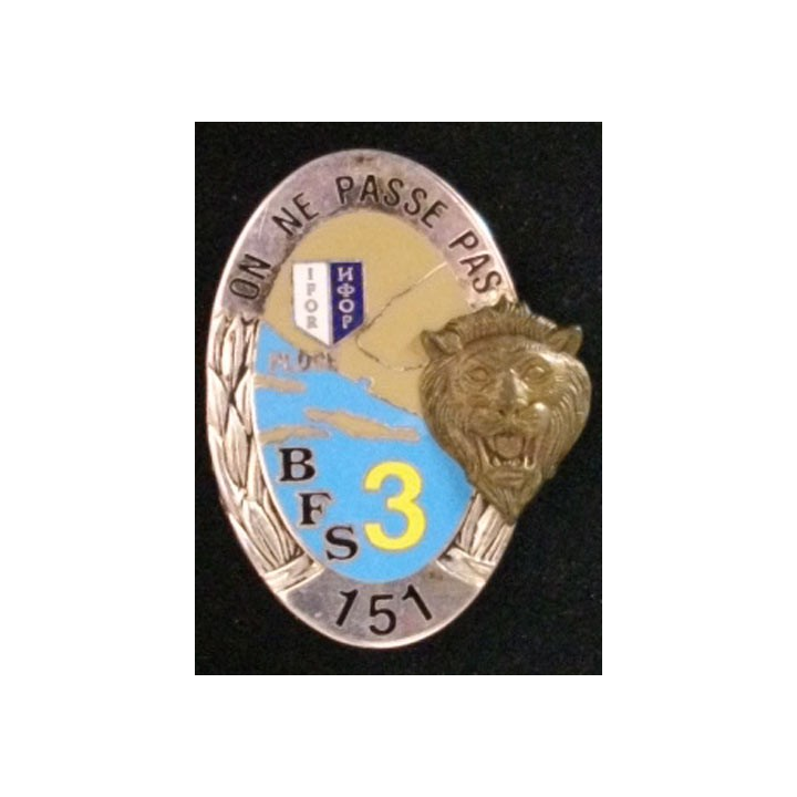 151°RI : 151°RÉGIMENT D'INFANTERIE IFOR 3 PLOCE BFS N°