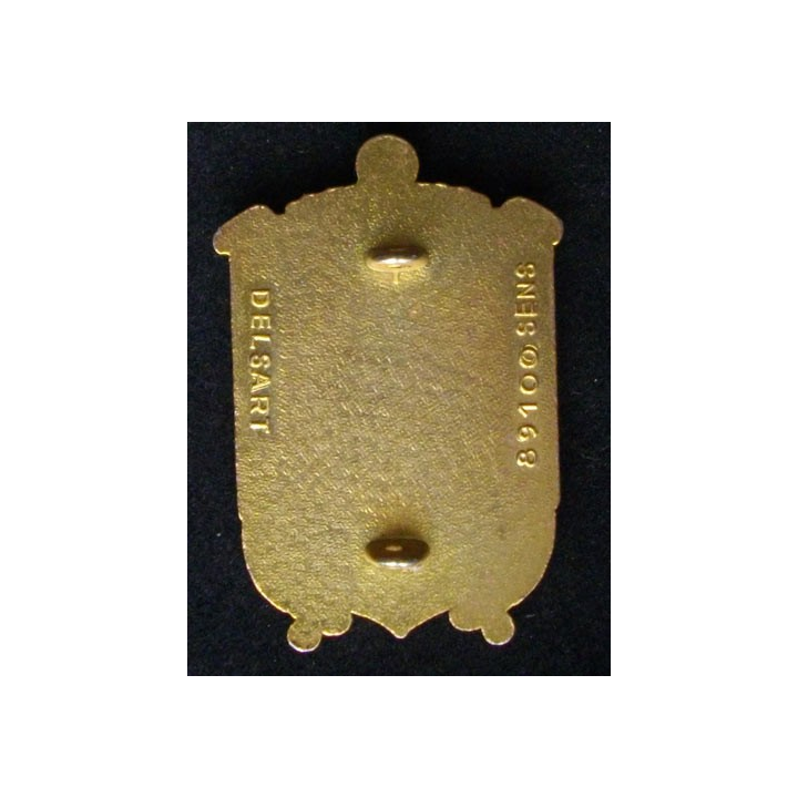  insigne 41° régiment d'artillerie de marine Delsart 41° RAMA