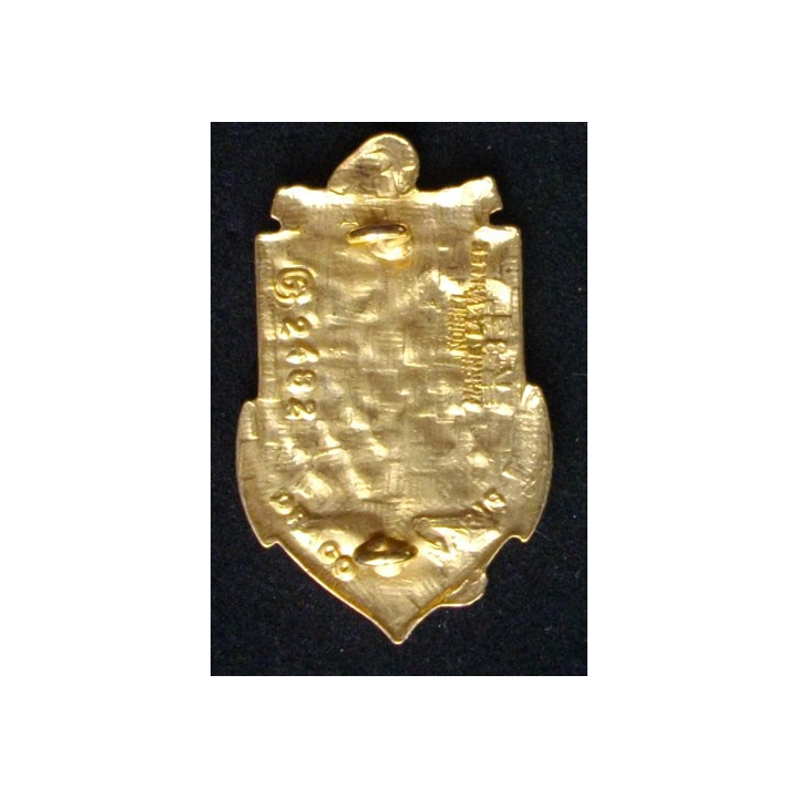 Régiment de service militaire adapté à la Réunion G. 2482