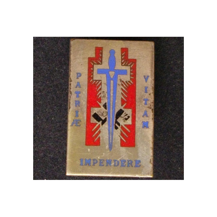 Insigne des troupes d'occupation en allemagne PATRIAE VITAE IMPENDERE