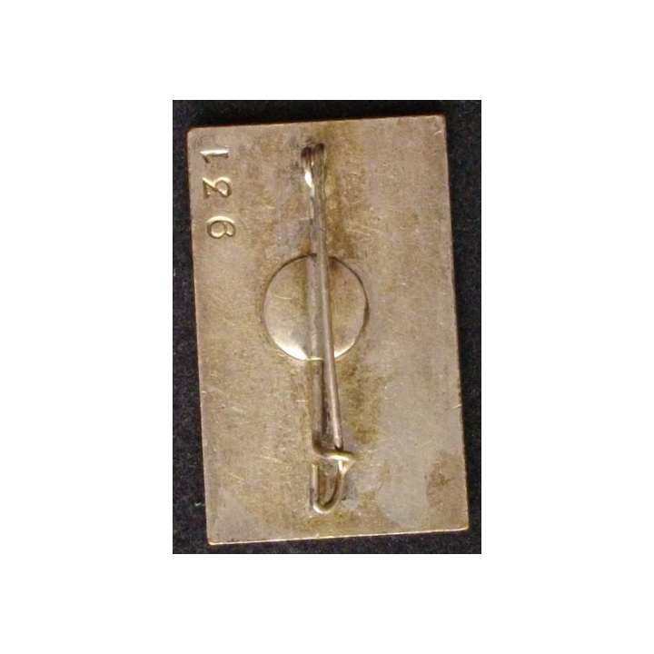 Insigne des troupes d'occupation en allemagne PATRIAE VITAE IMPENDERE
