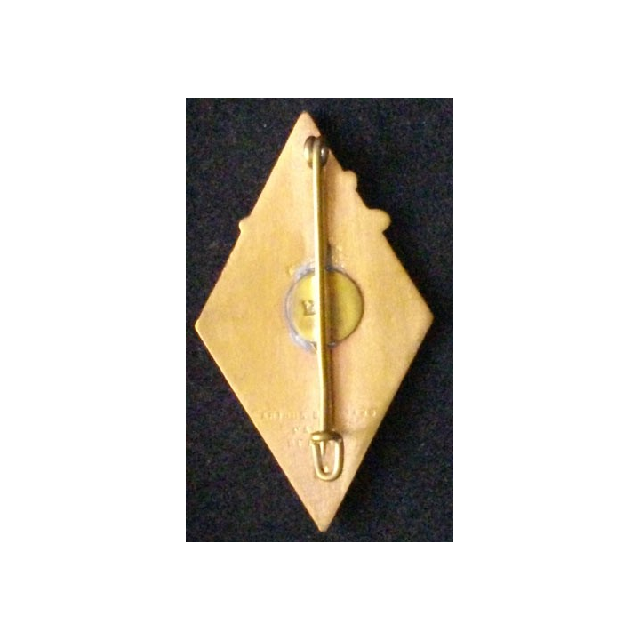 159° RIA : 159° RÉGIMENT D'INFANTERIE ALPINE (ABPD) ÉMAIL