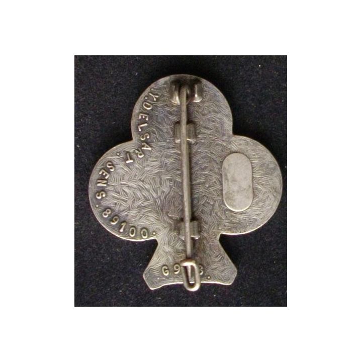 35° RI : 35° RÉGIMENT D'INFANTERIE (DELSART 913)