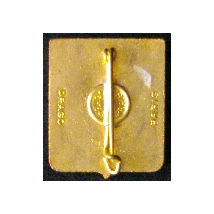 226°BI : 226°BATAILLON D'INFANTERIE (DRAGO) ÉMAIL DOS LISSE
