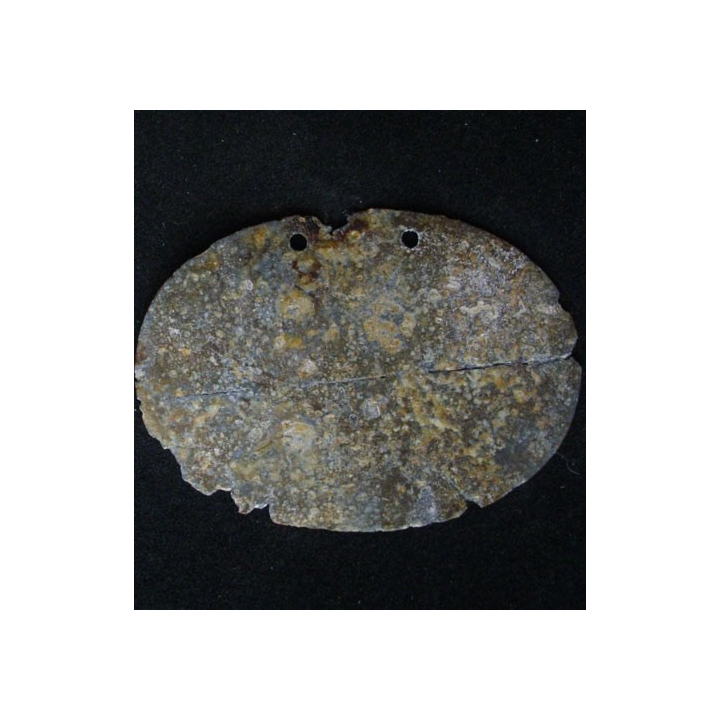 PLAQUE DIDENTITÉ 1°GUERRE MONDIALE : ALBIN ERFURT
