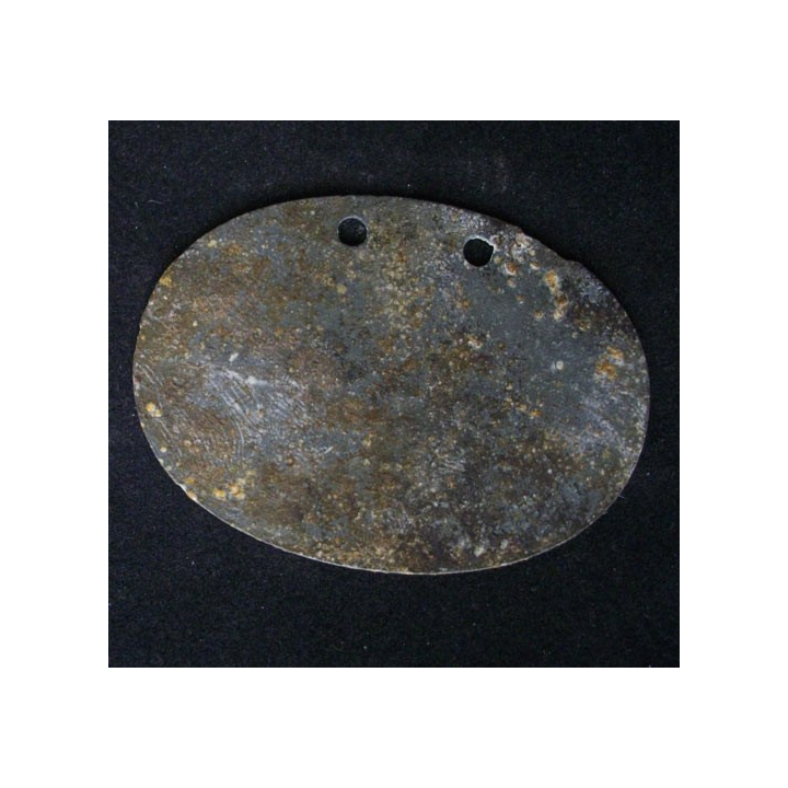 PLAQUE DIDENTITÉ 1°GUERRE MONDIALE : ALLOIS WAHNER 9.7.1895