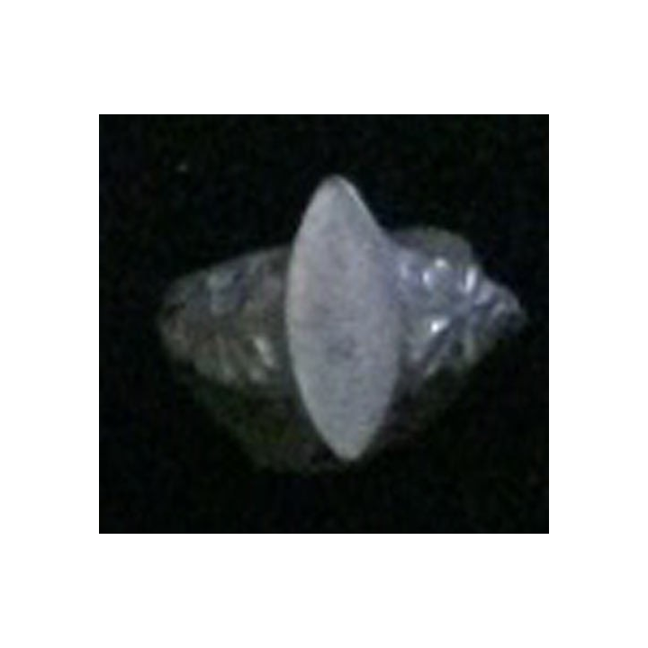 BAGUE ALLEMANDE EPOQUE 1914 EN FER BLANC LOSANGE