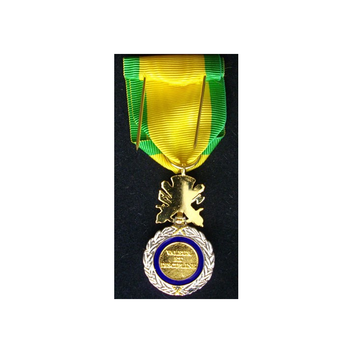 FRANCE : MÉDAILLE MILITAIRE NEUVE ACTUELLE